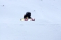 , Winter X-Games Mens Board Slopestyle 2011 - Courchevel Enquirer